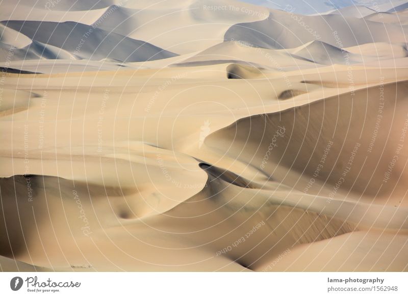 heap of sand Vacation & Travel Adventure Far-off places Summer vacation Landscape Desert Sahara Dune Huacachina Peru South America Africa Deserted Sand