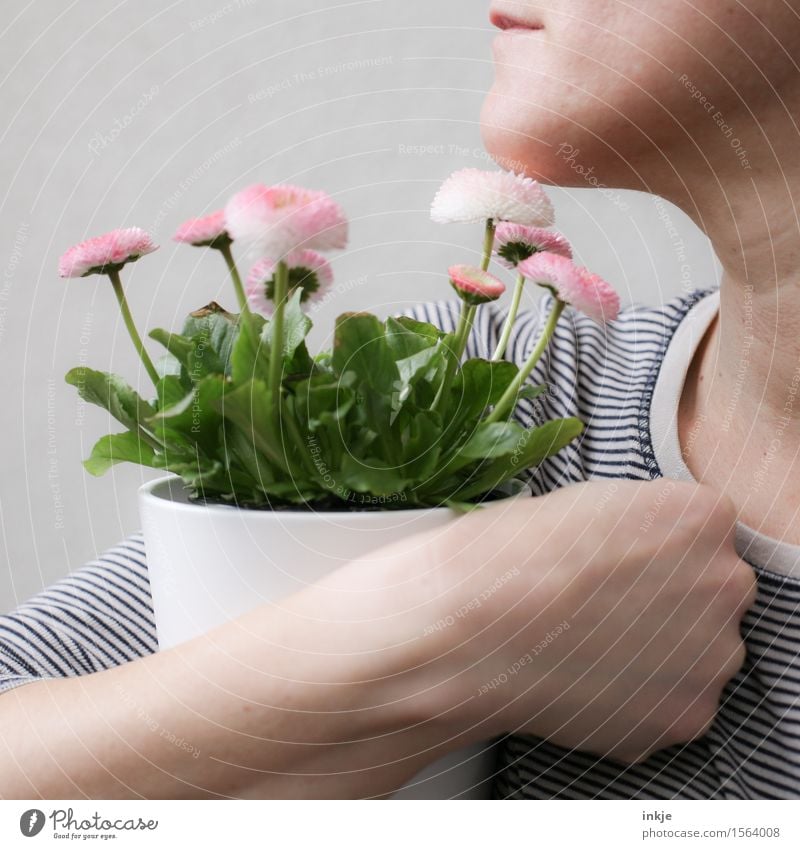 Flowerpot in the arm for Finti. Lifestyle Style Beautiful Leisure and hobbies Woman Adults Face Hand 1 Human being Plant Spring Pot plant Spring flower Bouquet