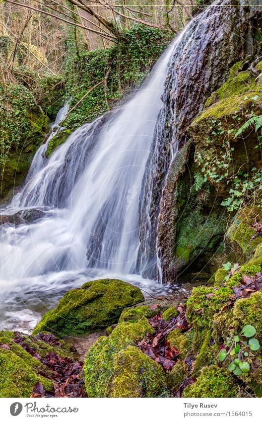 Waterfall Altube Beautiful Vacation & Travel Mountain Environment Nature Landscape Plant Tree Moss Leaf Park Forest Rock Brook River Stone Movement Fresh Wet