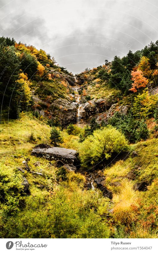 Autumn in the Pyrenees Beautiful Vacation & Travel Mountain Environment Nature Landscape Plant Sky Clouds Tree Grass Leaf Park Forest Hill Places Lanes & trails