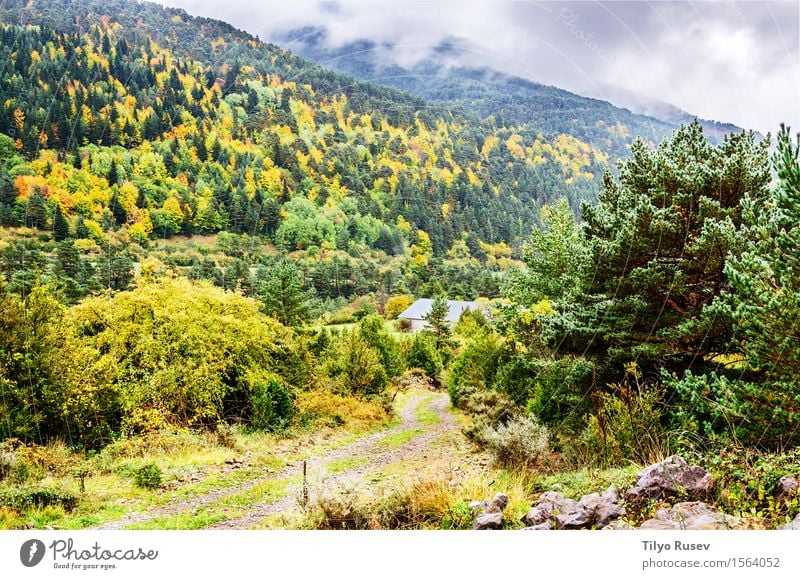 Autumn in the Pyrenees Beautiful Vacation & Travel Mountain Environment Nature Landscape Plant Sky Clouds Tree Grass Leaf Park Forest Hill Places Lanes & trails