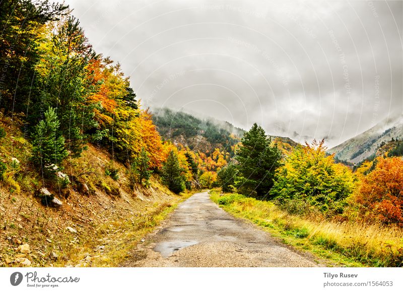 Autumn in the Pyrenees Beautiful Vacation & Travel Mountain Environment Nature Landscape Plant Sky Clouds Tree Grass Leaf Park Forest Hill Places Lanes & trails