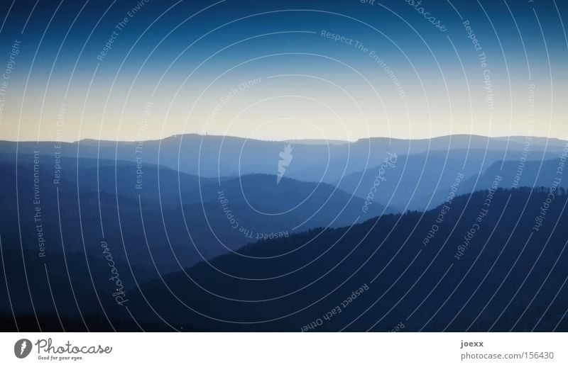 FLY LIKE AN EAGLE Mountain Relaxation Far-off places Wanderlust Sky Horizon Landscape Nature Fog Black Forest Sunset Vacation & Travel Vantage point Concentrate