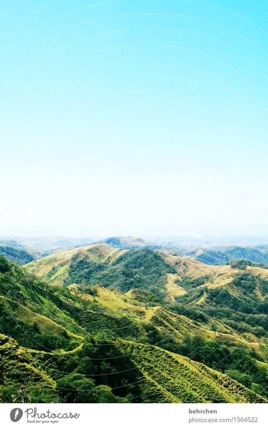 on the way Vacation & Travel Tourism Trip Adventure Far-off places Freedom Summer Nature Landscape Plant Sky Cloudless sky Beautiful weather Tree Grass Forest