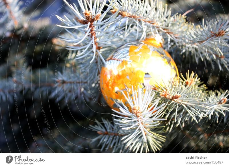 kitsch Colour photo Multicoloured Exterior shot Close-up Deserted Day Light Reflection Winter Mirror Nature Beautiful weather Decoration Kitsch Odds and ends