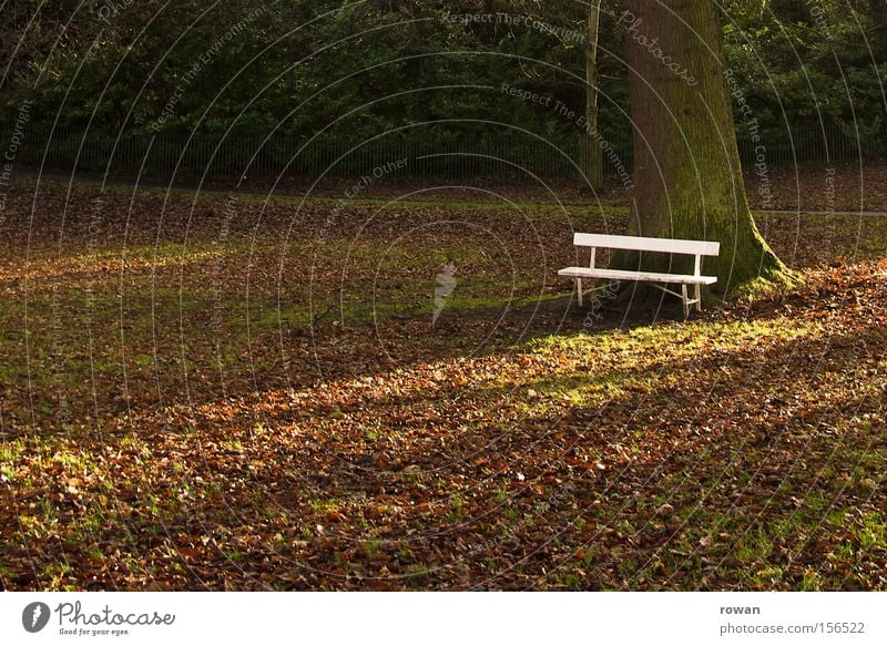 resting point Park Park bench Bench Autumn Calm Relaxation Break Stop short Stagnating Leaf Garden