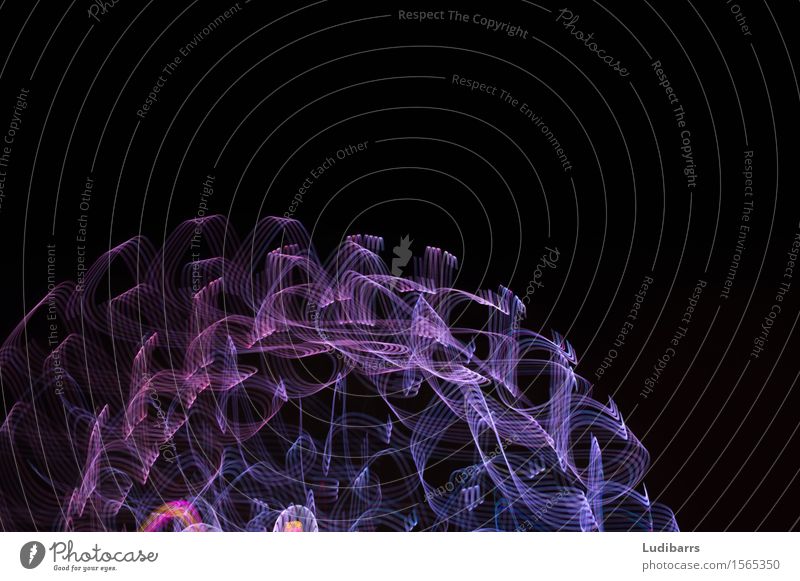 Abstract purple and blue flowing lights Joy Exceptional Happy Bright Blue Black Colour Colour Intensity Curls Lighting movement mystical swirls Consistency