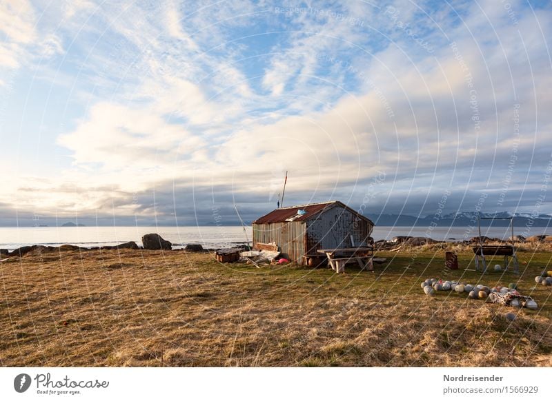 North Atlantic Far-off places Ocean Island Agriculture Forestry Nature Landscape Elements Water Sky Clouds Summer Beautiful weather Grass Meadow Coast