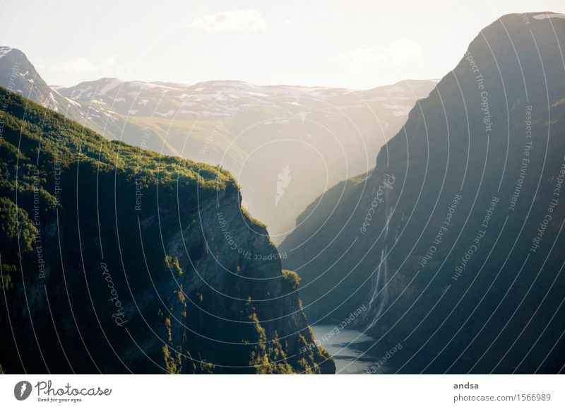 Low sun at Geirangerfjord in Norway Fjord animal standing sun Sunbeam Mountain Scandinavia Ocean Landscape Sky cliff mountains Waterfall reflection Light