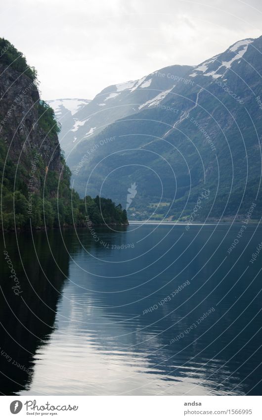 View of a fjord in Norway Water Mountain Fjord Scandinavia Ocean Idyll reflection Reflection in the water Landscape Nature Deserted Forest forests destination