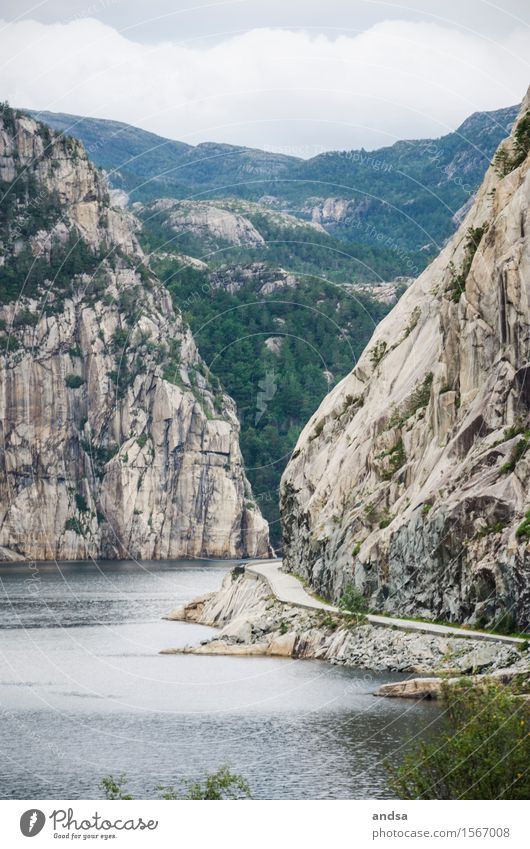 Lonely road by a fjord Street Fjord Water cliff cliff coast Mountain Norway Landscape Scandinavia Exterior shot Deserted Empty voyage Ocean rock Rock