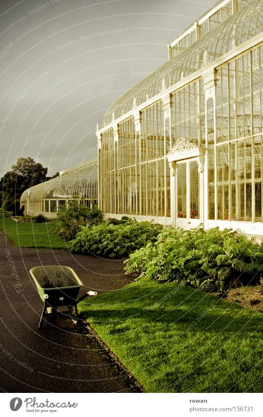 gardening Garden Wheelbarrow Gardening Gardener Botany Greenhouse Winter garden Botanical gardens Organic produce Park Agriculture