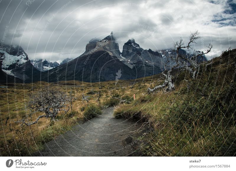 Torres del Paine Clouds Wind Mountain Torrs del Paine Threat Dark Lanes & trails Torres del Paine NP Patagonia Change in the weather Deserted