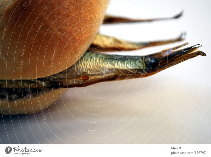 delicious fish II Colour photo Interior shot Detail Food Fish Bread Roll Nutrition Lunch Dinner Fast food Scales Delicious Appetite Fish roll Salty Fin