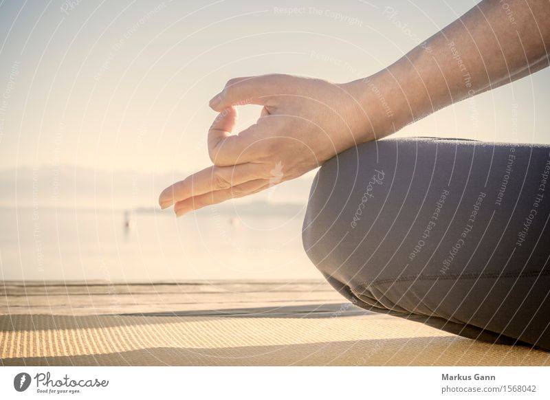 Meditation at the lake Lifestyle Yoga Human being Woman Adults Hand Fitness Sit Fingers Lake Relaxation Exterior shot Close-up