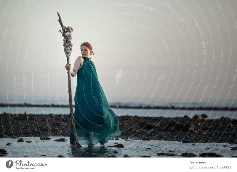 low tide Human being Woman Dress Beach Ocean Low tide Water coast Sand High tide ebb and flow Tide Wet Far-off places Stone Looking away Horizon Dawn