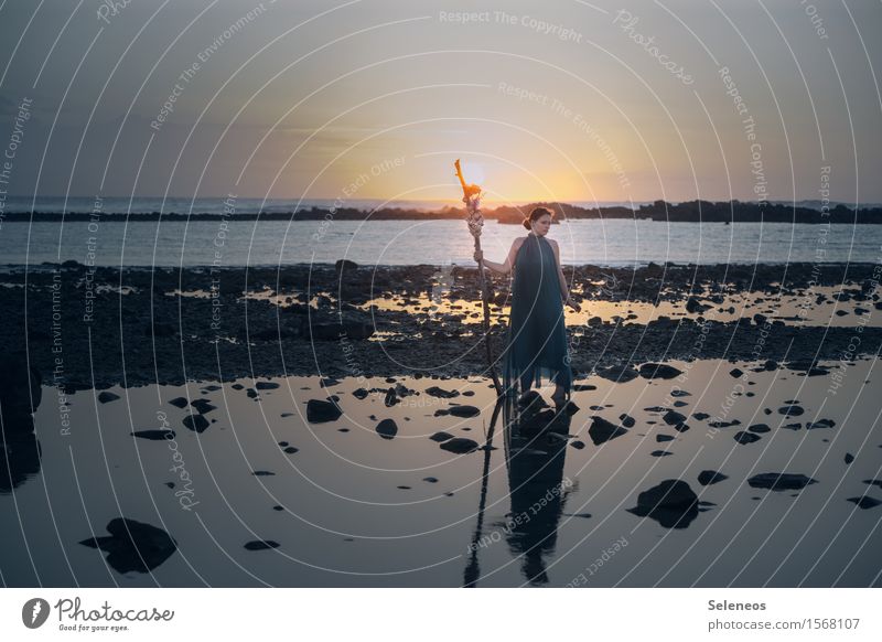 Take the sun for a walk Trip Far-off places Freedom Beach Ocean Human being Feminine Woman Adults 1 Environment Nature Landscape Water Sky Horizon