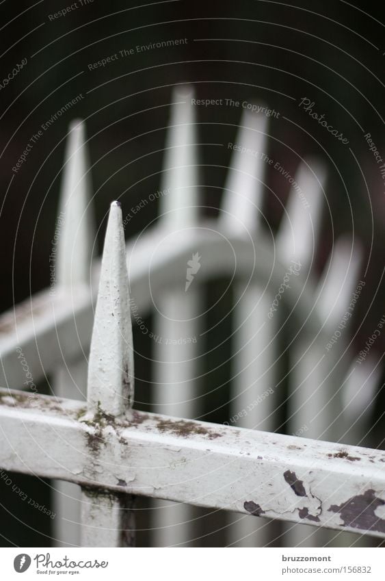 no easy way out Fence Loneliness Cancelation Iron Metal Defensive Defense training Depth of field Varnish Corner Black White Point Thorn Grief Distress Thorny