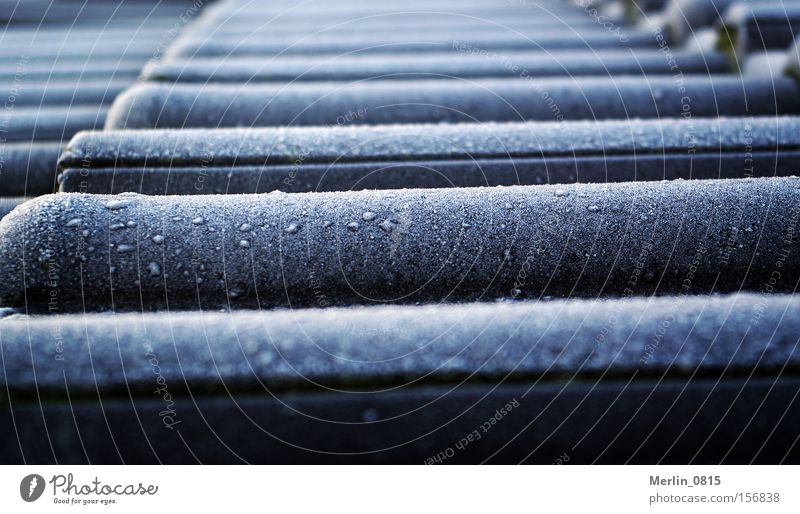 frozen roof Roof Roofing tile Frost Ice Ice crystal Cold Frozen Winter Freeze Glittering Snow