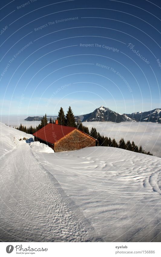 hut magic Mountain Forest Tree Sky Winter Alpine hut Wood Lanes & trails Snow Footpath Clouds Fog Valley Hut