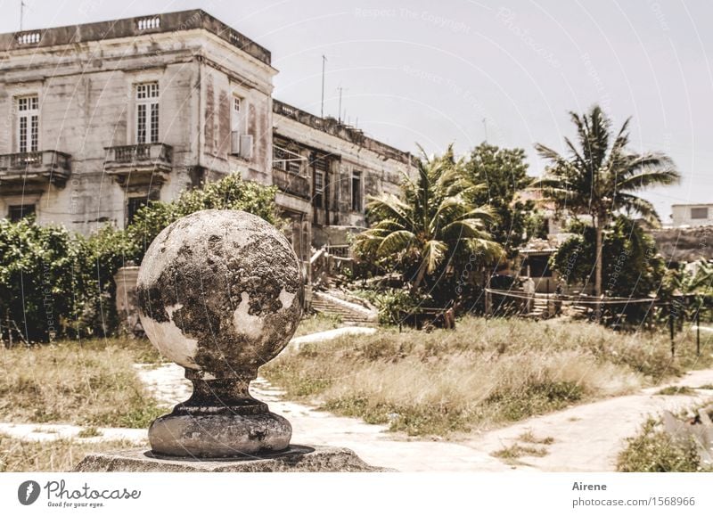 grey world Exotic Palm tree Park Havana Cuba Dream house Ruin Farmhouse Villa Garden Dust Stone Sand Sphere Globe Earth Old Large Bright Gloomy Dry Brown Gray