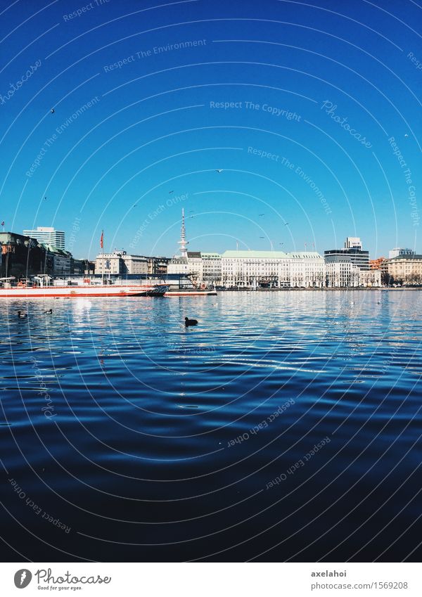 Hamburg Panorama at the Alster Vacation & Travel Tourism City trip Cruise Water River Navigation Inland navigation Passenger ship Steamer Emotions Moody