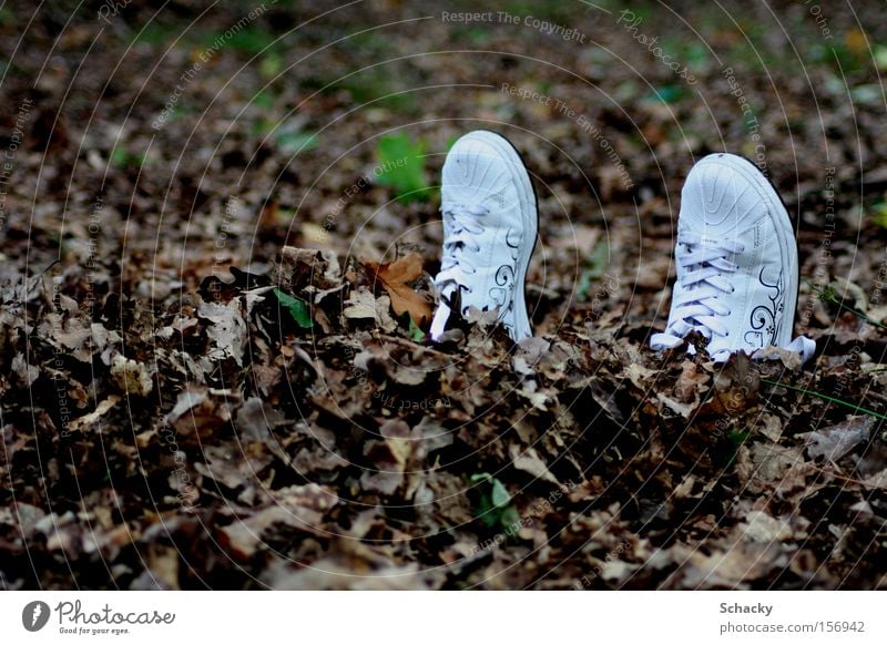 solo run Footwear Leaf Hide Fear Escape Freedom Loneliness To go for a walk Autumn Safe haven Forget Longing