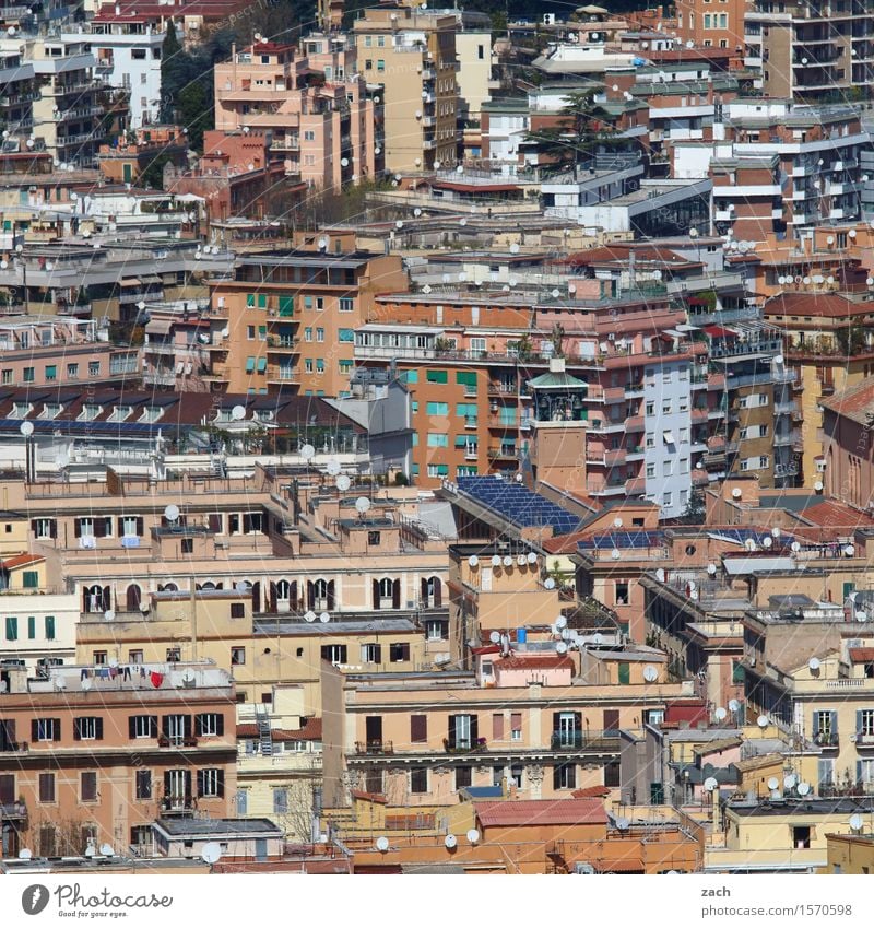 100 lives City trip Rome Italy Town Downtown Old town Overpopulated Deserted House (Residential Structure) Building Architecture Wall (barrier) Wall (building)