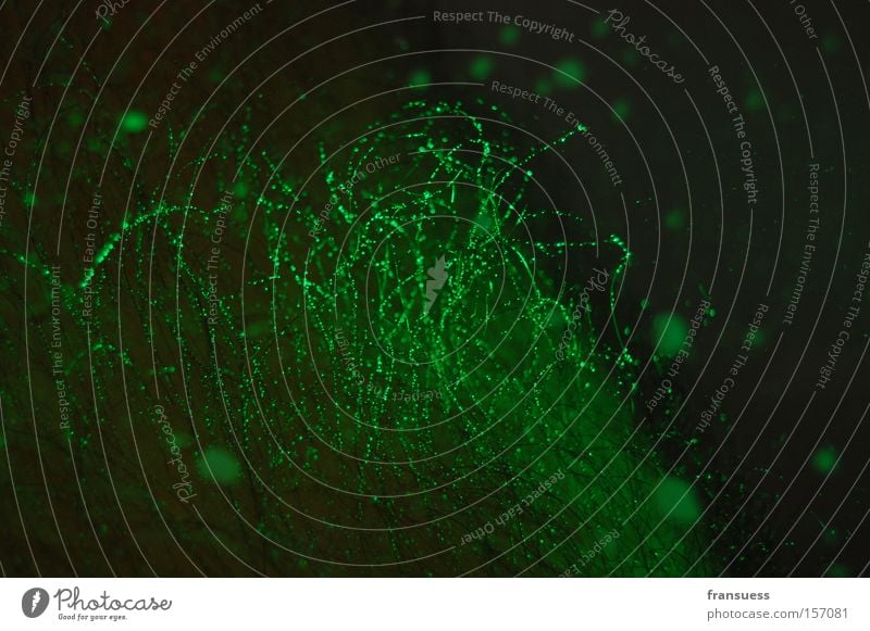strange things happen Green Abstract Hair and hairstyles Water Physics Oxygen Bubble Legs Plant Growth Detail Macro (Extreme close-up) Close-up Obscure Man