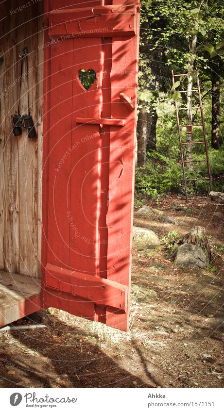 lookout Nature Summer Beautiful weather Tree Door Binoculars Wood Heart Green Red Happiness Passion Warm-heartedness Watchfulness Calm Break Target Toilet