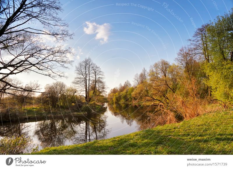 Sunny spring landscape. River in a green forest Vacation & Travel Environment Nature Landscape Plant Sky Spring Beautiful weather Tree Grass Forest River bank