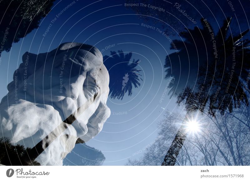 concrete head Grandfather Head Facial hair 1 Human being 60 years and older Senior citizen Sculpture Sky Sun Beautiful weather Plant Palm tree Rome Italy Town