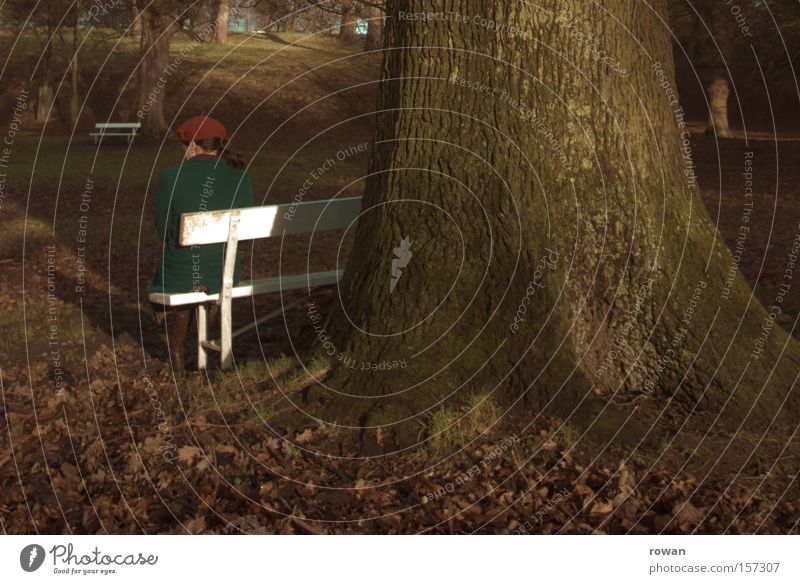 moment of rest Park Park bench Sit Woman Think Calm Relaxation Break Tree Autumn Cold Grief Loneliness Garden Sadness