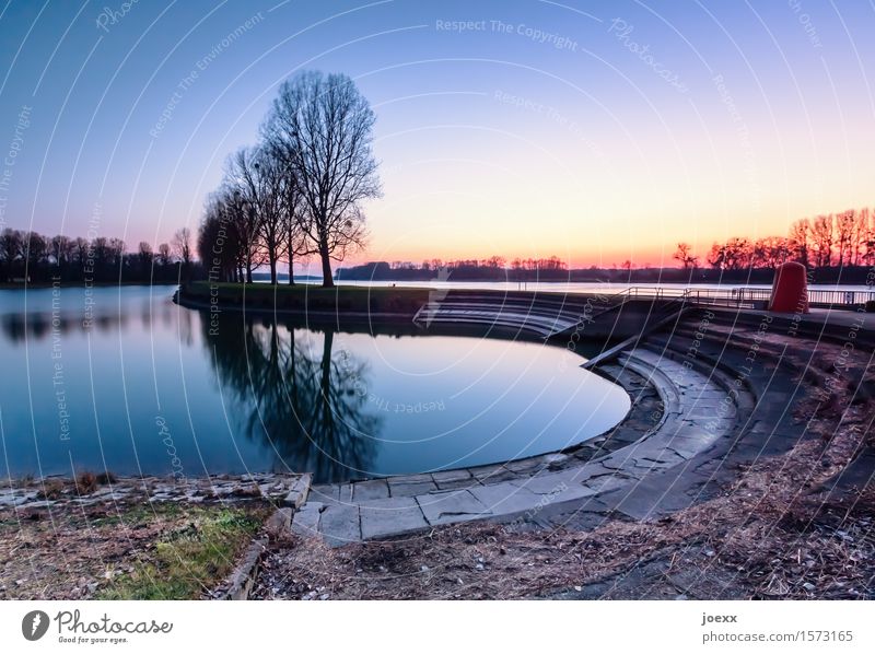 recreation Water Sky Sunrise Sunset Beautiful weather Tree Lakeside Blue Multicoloured Yellow Orange Horizon Idyll Calm Colour photo Exterior shot Deserted