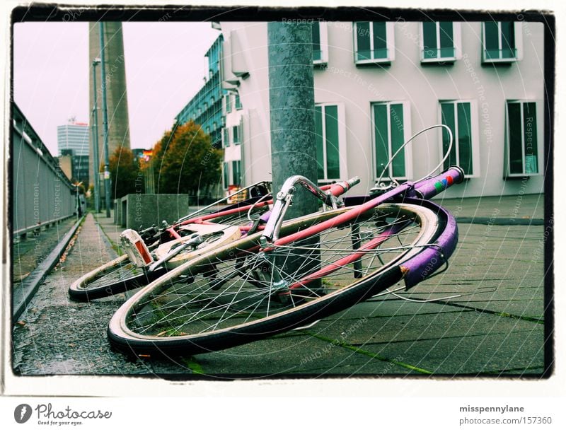 dashes of colour Bicycle Duesseldorf Rhine Pink Violet Wheel Sea promenade Concrete Traffic infrastructure media park