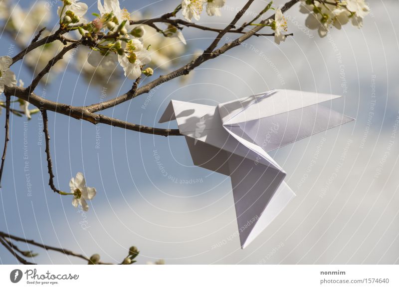 White origami dove bird hanging on blooming spring plum tree Lifestyle Elegant Happy Beautiful Garden Decoration Feasts & Celebrations Art Nature Spring Tree