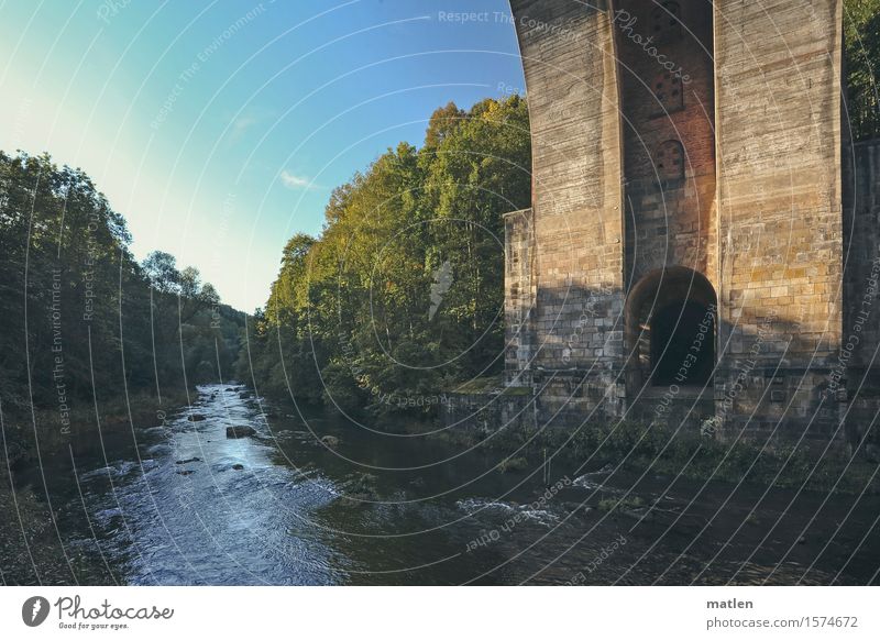 Göltzsch valley Landscape Plant Water Sky Cloudless sky Weather Beautiful weather Tree Grass Wild plant Forest Coast River bank Bridge Wall (barrier)