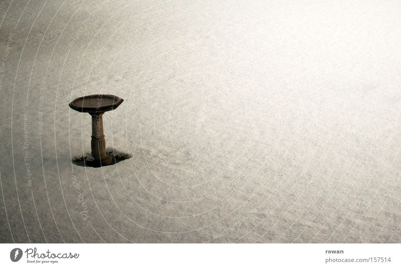 bird bath closed due to weather conditions Frozen Ice Snow Bird Garden Winter Cold Empty White