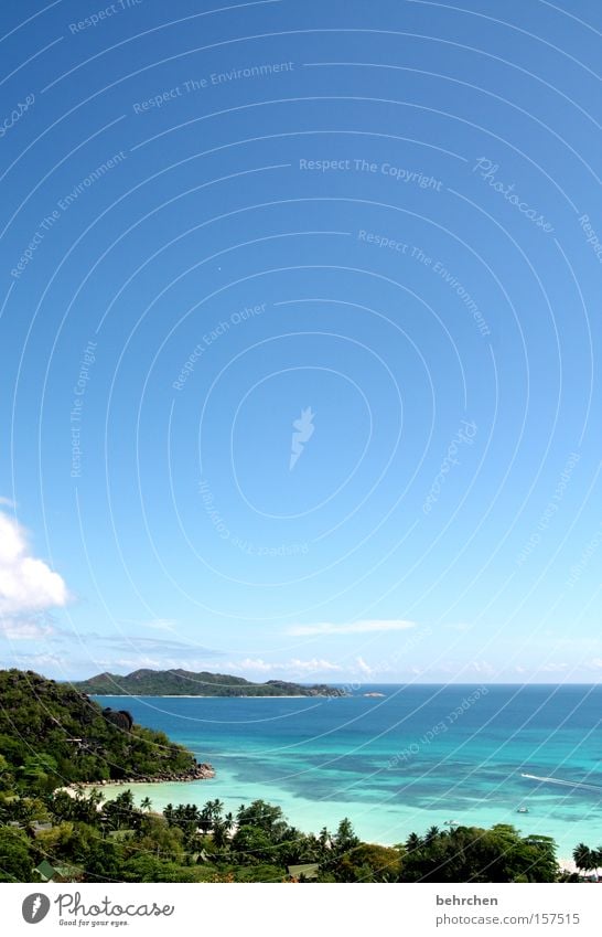 outlook Seychelles Vantage point Ocean Blue Sky Palm tree Dream island Clouds Wanderlust Far-off places Freedom Beautiful Gorgeous Beach Coast Praslin