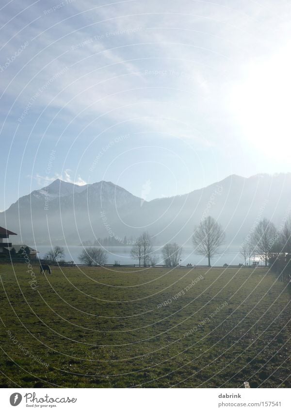 Schliersee1 Alps Lake Winter Mountain Pasture Back-light Bavaria mountain panorama