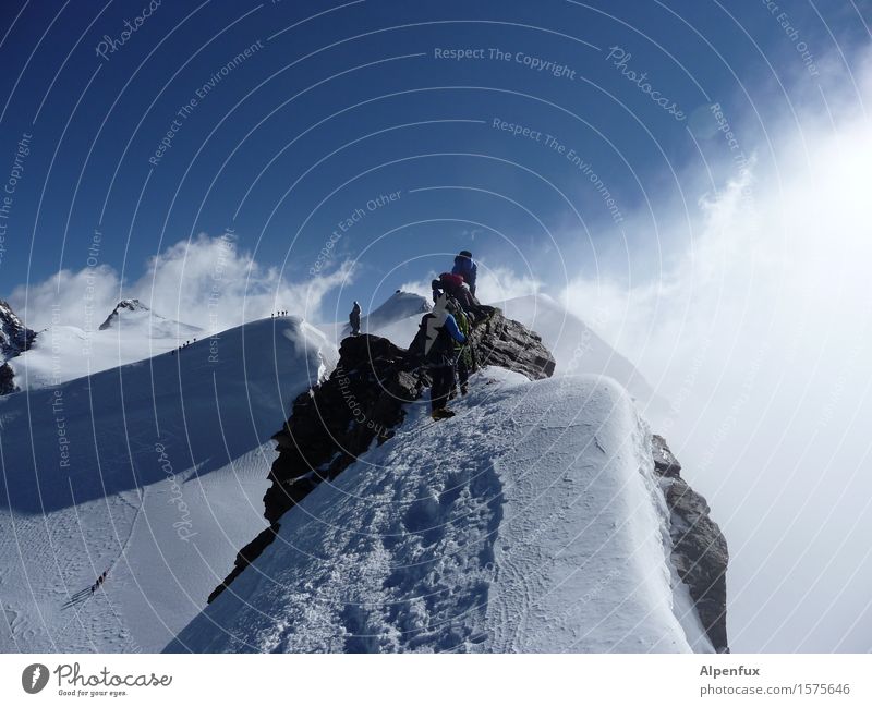 pearl on the summit Climbing Mountaineering Sky Clouds Sun Winter Beautiful weather Wind Fog Ice Frost Snow Rock Alps Monte Rosa Rope team Switzerland Peak