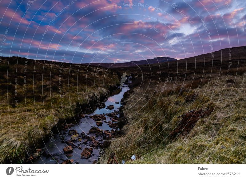 Stream at sunset Sun Environment Nature Earth Water Sky Clouds Sunrise Sunset Spring Beautiful weather Grass Meadow Hill River bank Esthetic Blue Green