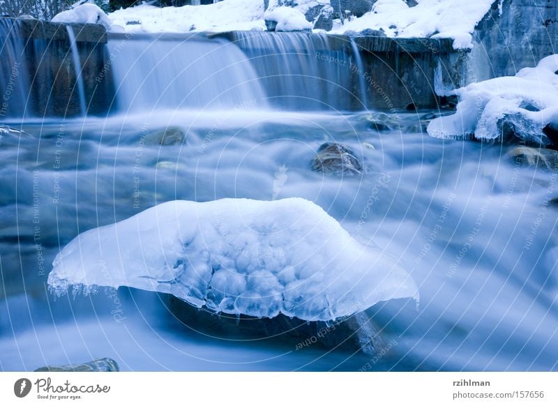 river mushroom Ice Ice sculpture River Structures and shapes Fresh Frost Cold Nature Sculpture Motionless Frozen Brook