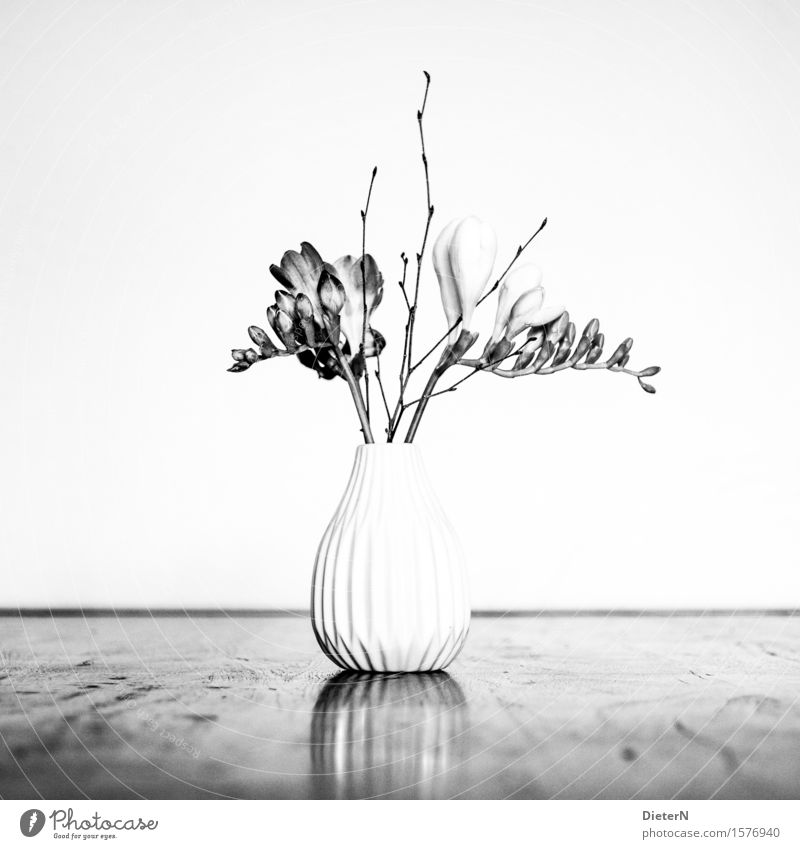 CLASSICAL Plant Flower Bushes Leaf Blossom Gray Black White Vase Flower vase Bouquet Flower stalk Black & white photo Interior shot Studio shot Detail Deserted