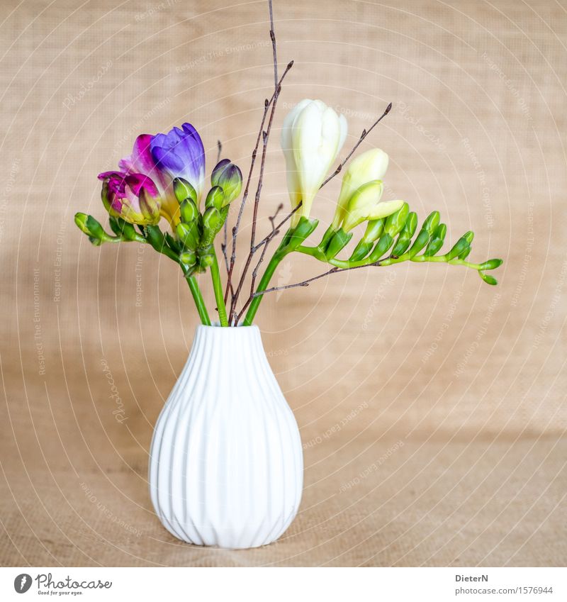 blossoms Plant Flower Brown Multicoloured Yellow Green White Vase Still Life Bouquet Flower vase Colour photo Interior shot Studio shot Close-up Detail