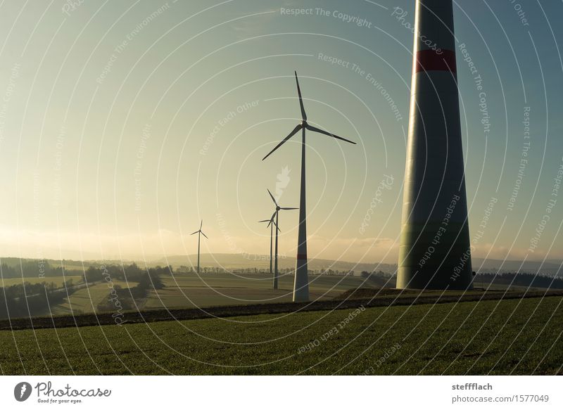 Sunrise wind harvest Energy industry Technology Renewable energy Wind energy plant Environment Landscape Earth Air Sky Sunlight Spring Climate Weather