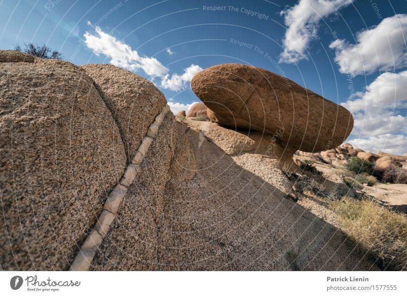 Garden of Rocks Beautiful Life Harmonious Well-being Contentment Senses Vacation & Travel Adventure Expedition Summer Mountain Environment Nature Landscape