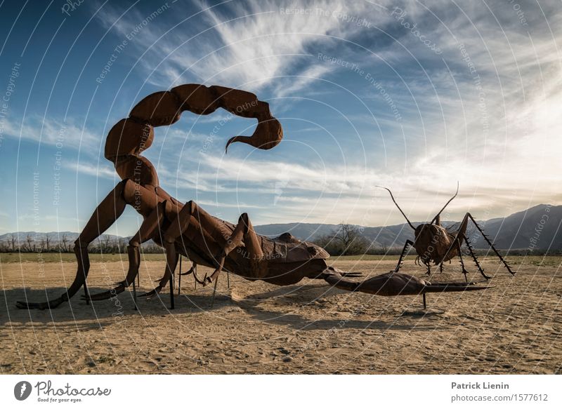 Insektenbekämpfung Beautiful Vacation & Travel Adventure Far-off places Expedition Summer Sun Mountain Environment Nature Landscape Animal Sky Clouds Horizon