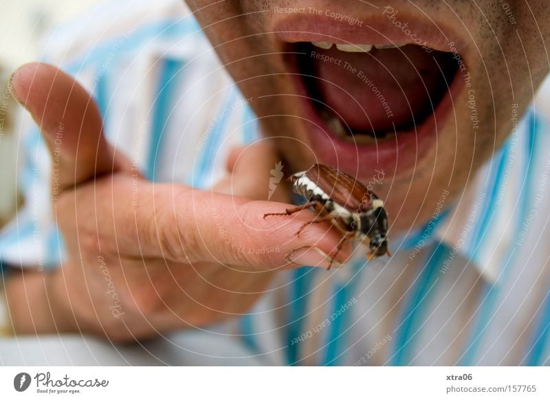 Picnic with TIER food Mouth Fingers Beetle Insect May bug Shirt Striped Nutrition exterminate Eating