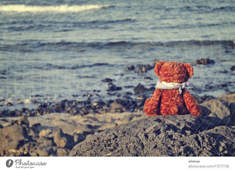 Teddy Per on holiday (14) Vacation & Travel Summer vacation Sunbathing Waves Coast Ocean Teddy bear Cuddly toy Neckerchief Looking Sit Small Joy Happy